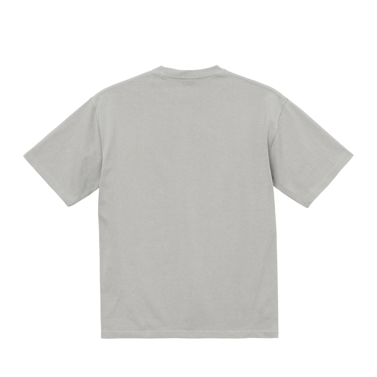 NO INDEX Tシャツ frost-gray image