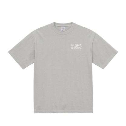 NO INDEX Tシャツ frost-gray image